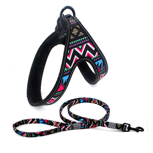 No Pull Dog Harness - Rainbow™