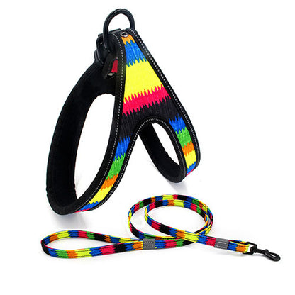 No Pull Dog Harness - Rainbow™, Hippy